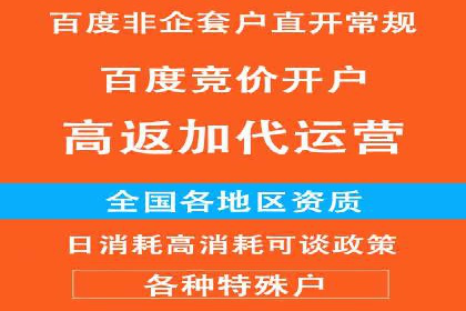 竞价推广中的着陆页策略：成功案例解读